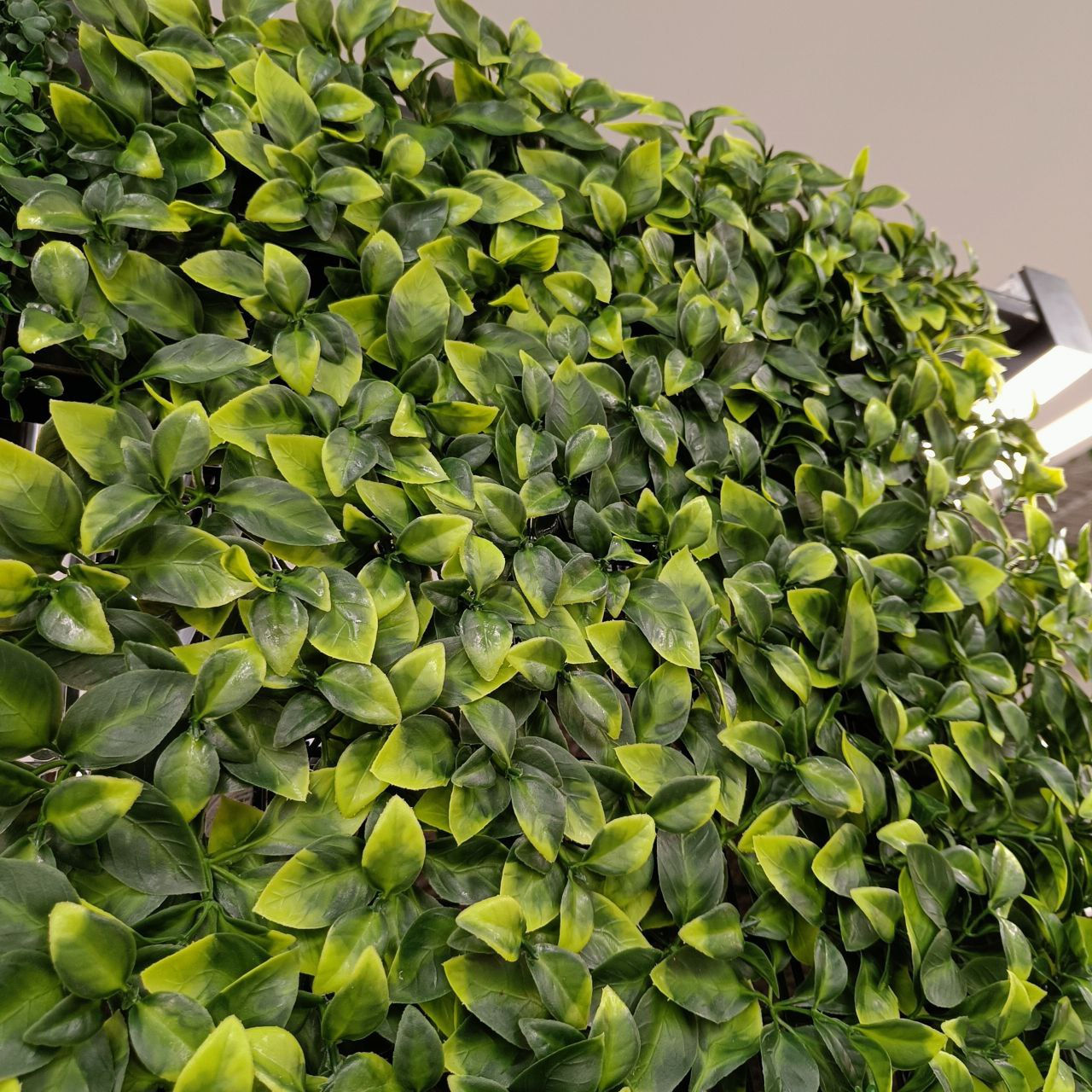 Perete din plante artificiale foto 11