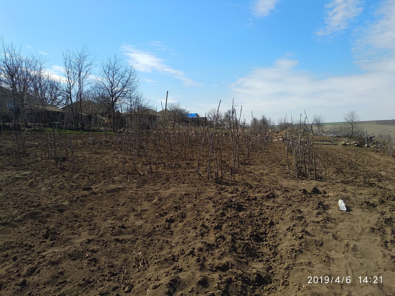 Pamint tot cu piatra pentru o casa sau alcevai фото 3