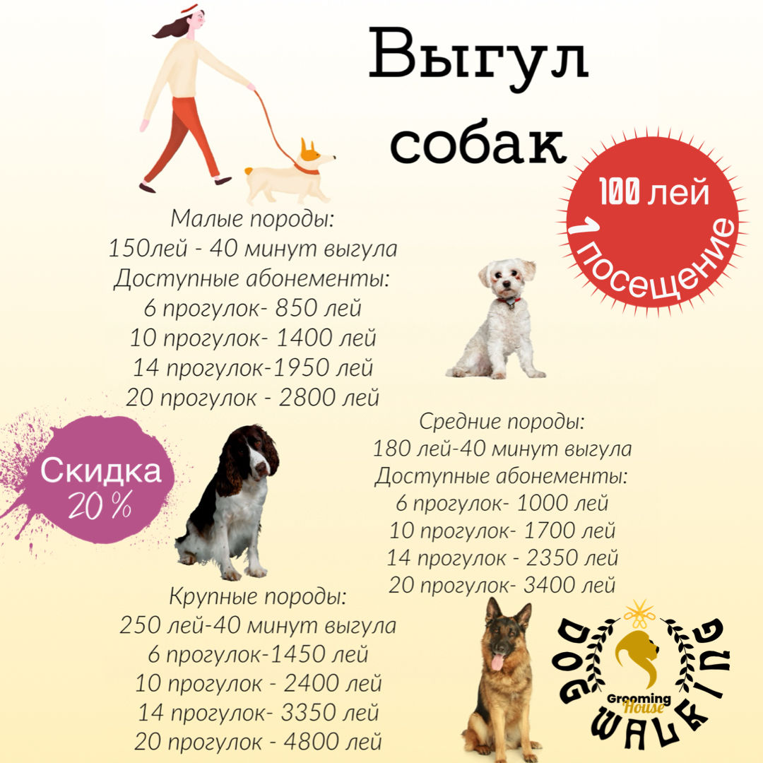 Выгул Собак/Посещение Кошек фото 3