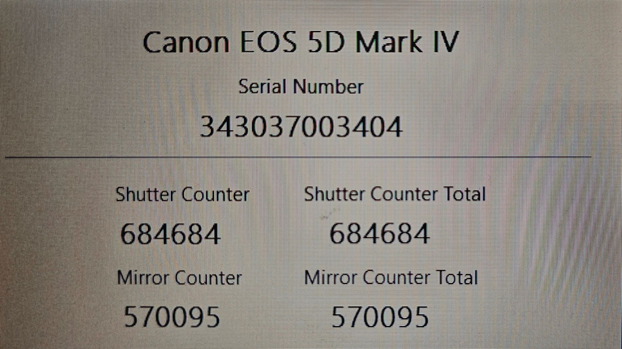 Canon 5D Mark IV  foto 7