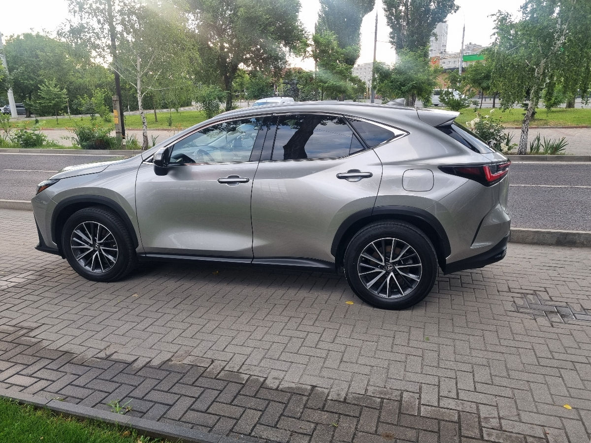 Lexus NX Series 2022 photo 8