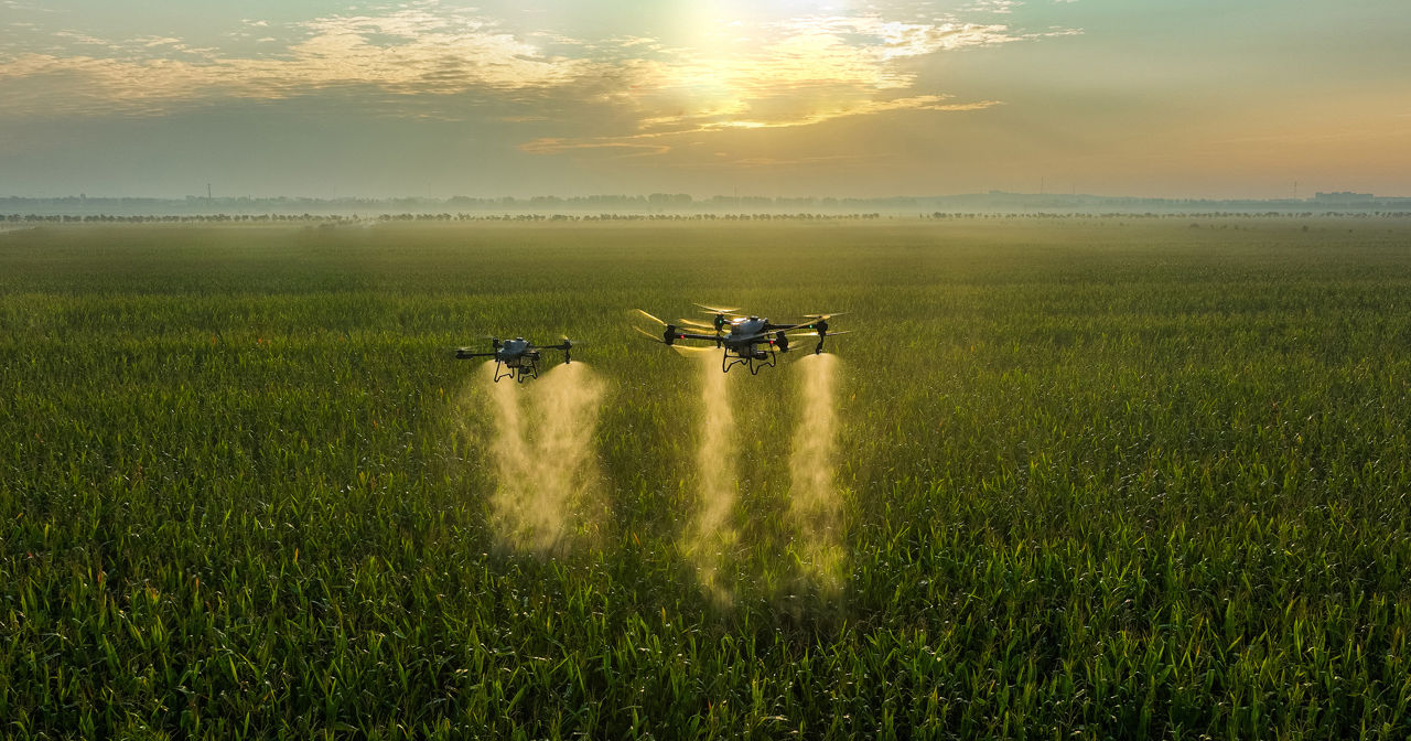 Stropire Agricolă Profesională cu Drone Agricole/ Профессиональное Опрыскивание Полей Агро Дронами  foto 3
