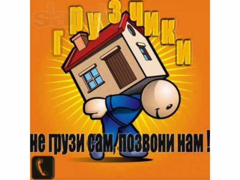 Грузчики Transport de marfuri hamali фото 2