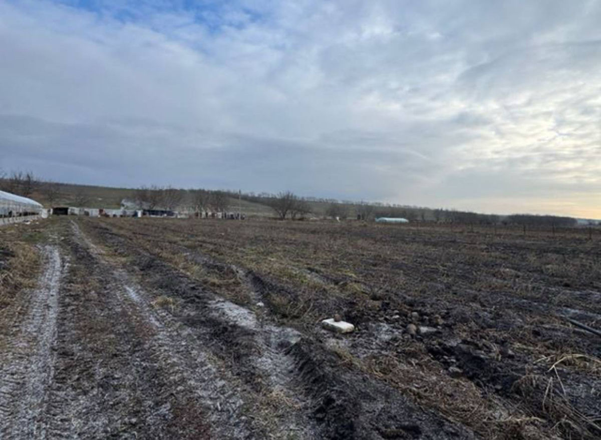 Satul Humulesti ! Teren 3,7 ha ( Gradina ), lingă pădure ! foto 1