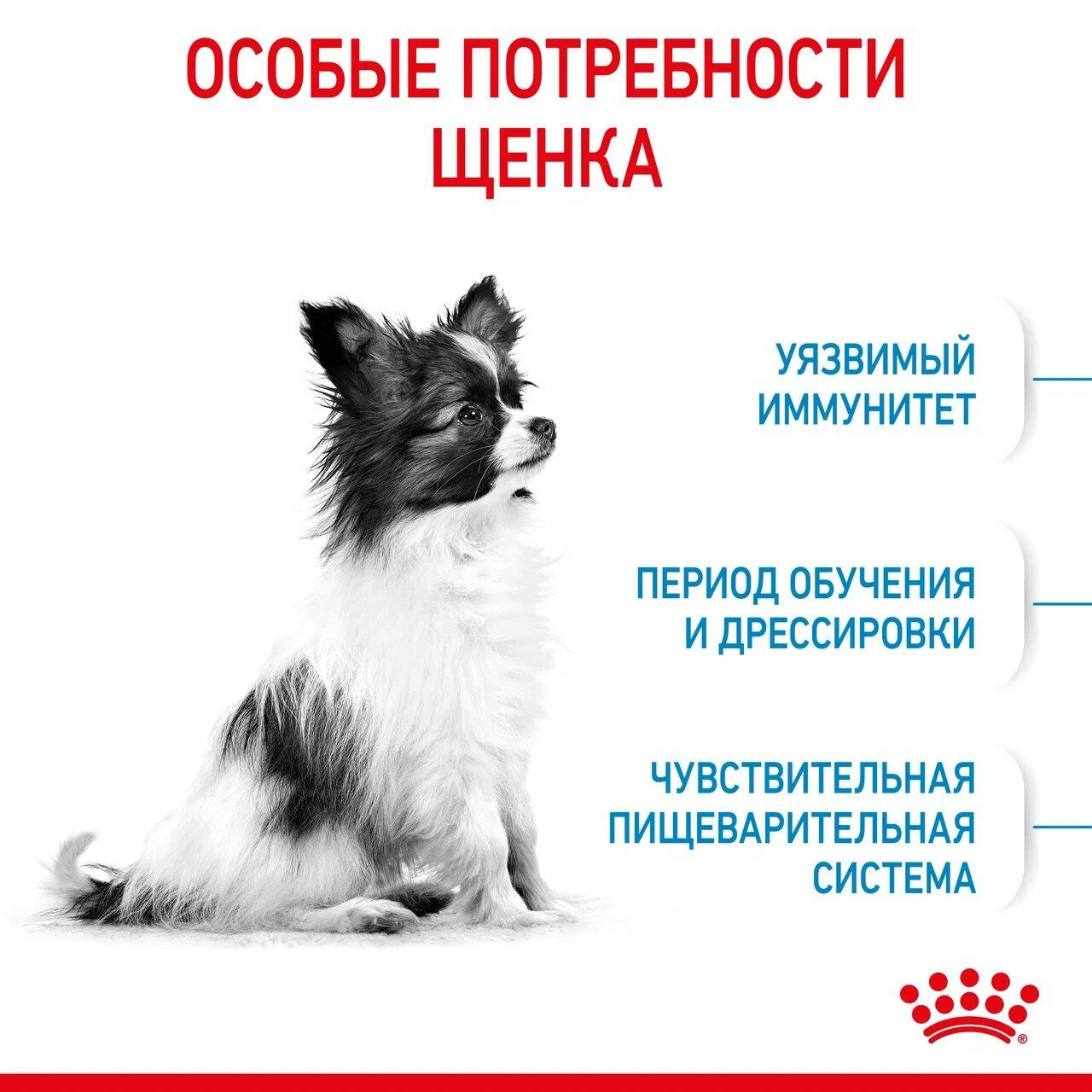 Сухой корм для щенков Royal Canin X-Small Puppy фото 4