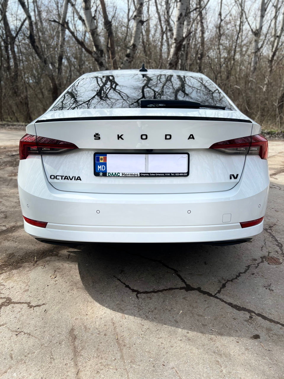 Skoda Octavia фото 4
