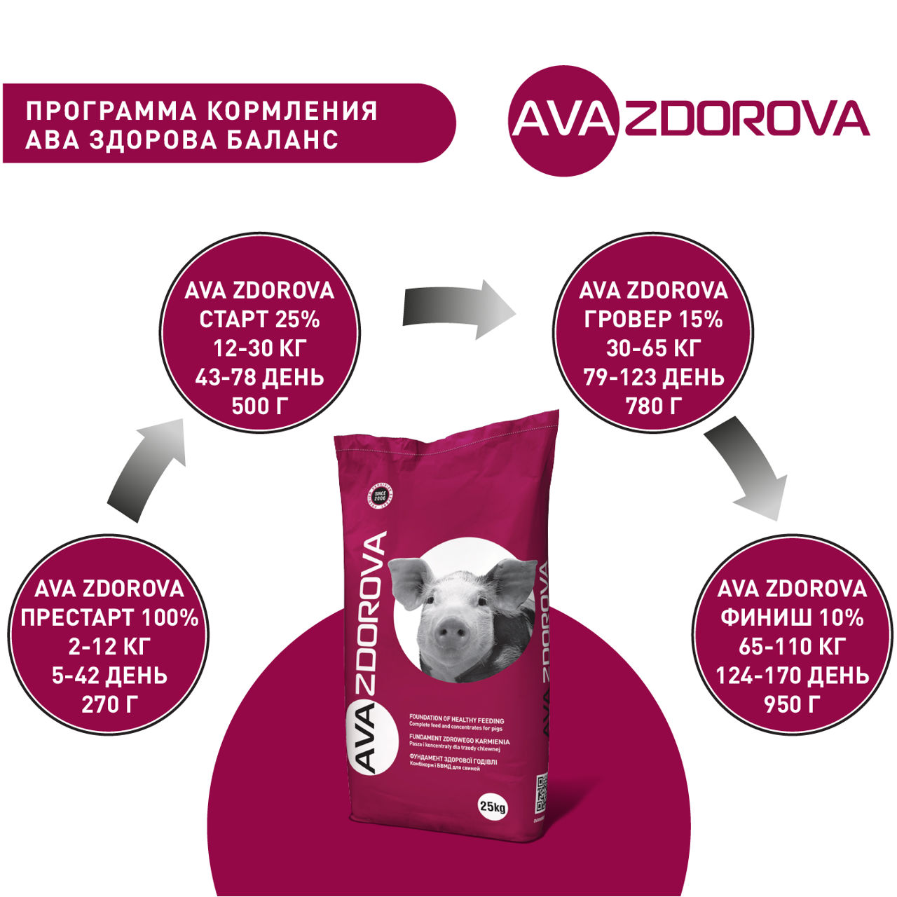 SPMV pentru porci AVA ZDOROVA FINIȘ 10%. 25kg foto 6
