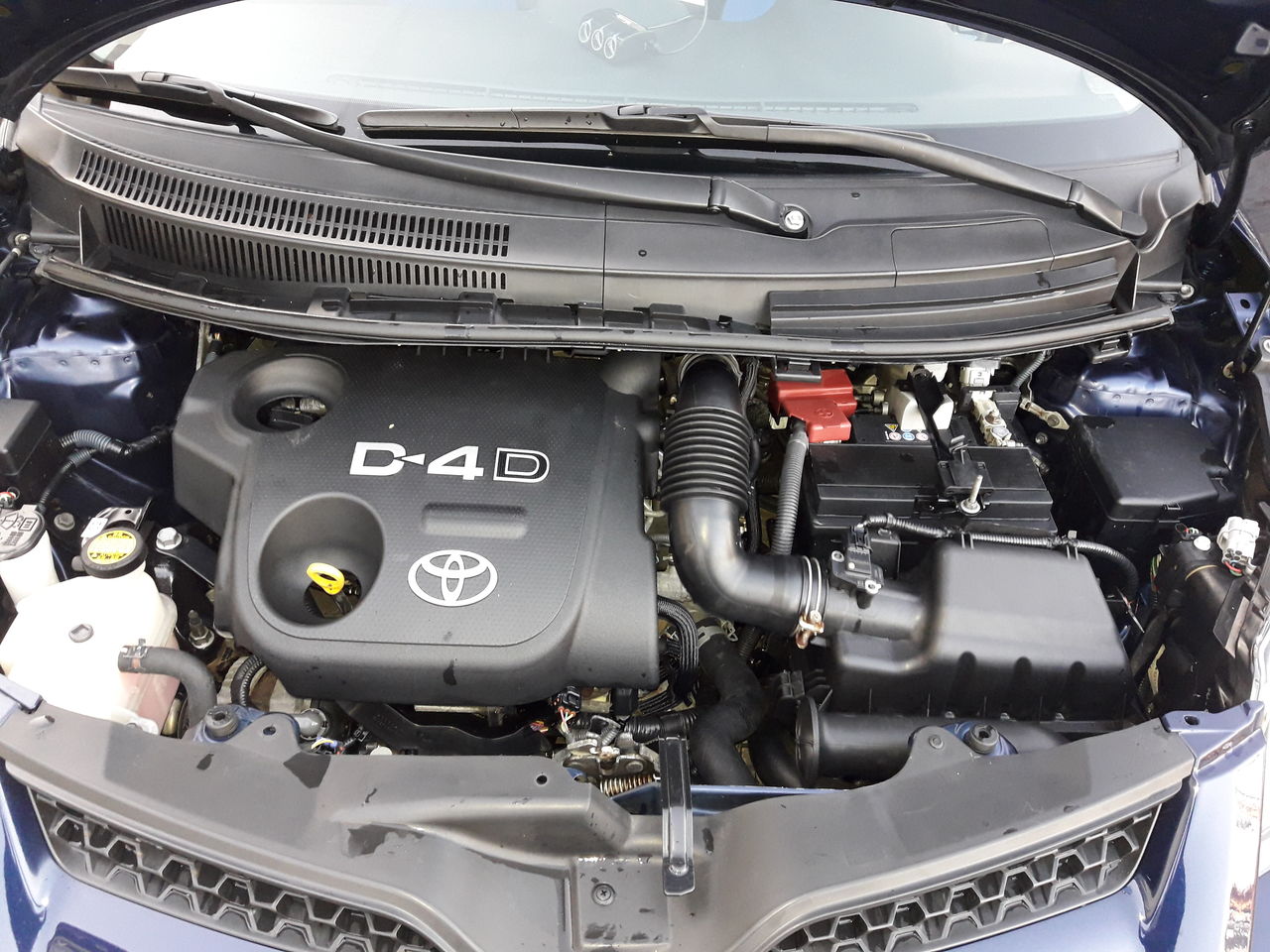 Toyota Urban Cruiser