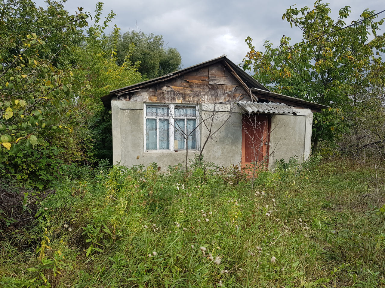 Участок 14 соток - (14 ari) на берегу маленького озера фото 4
