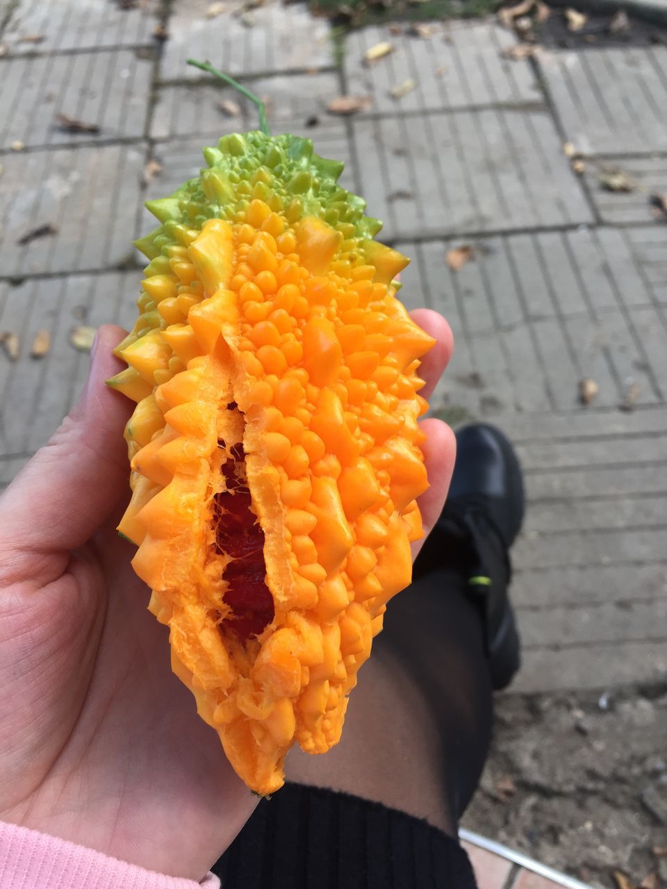 Семена момордики