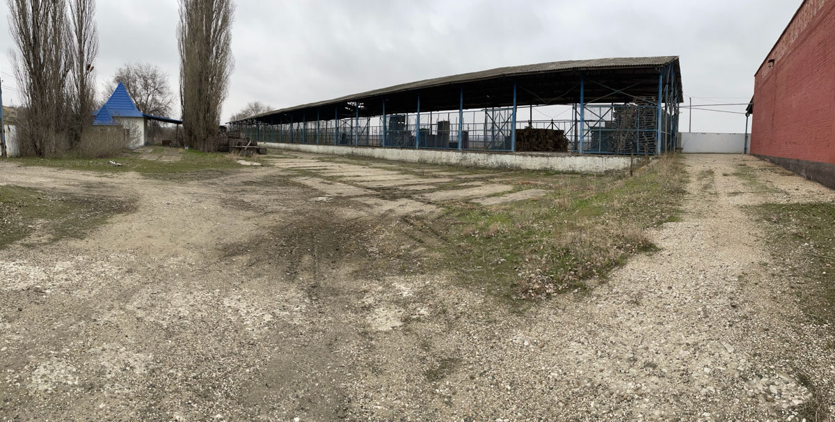 Zaim Промышленный холодильник  фото 2