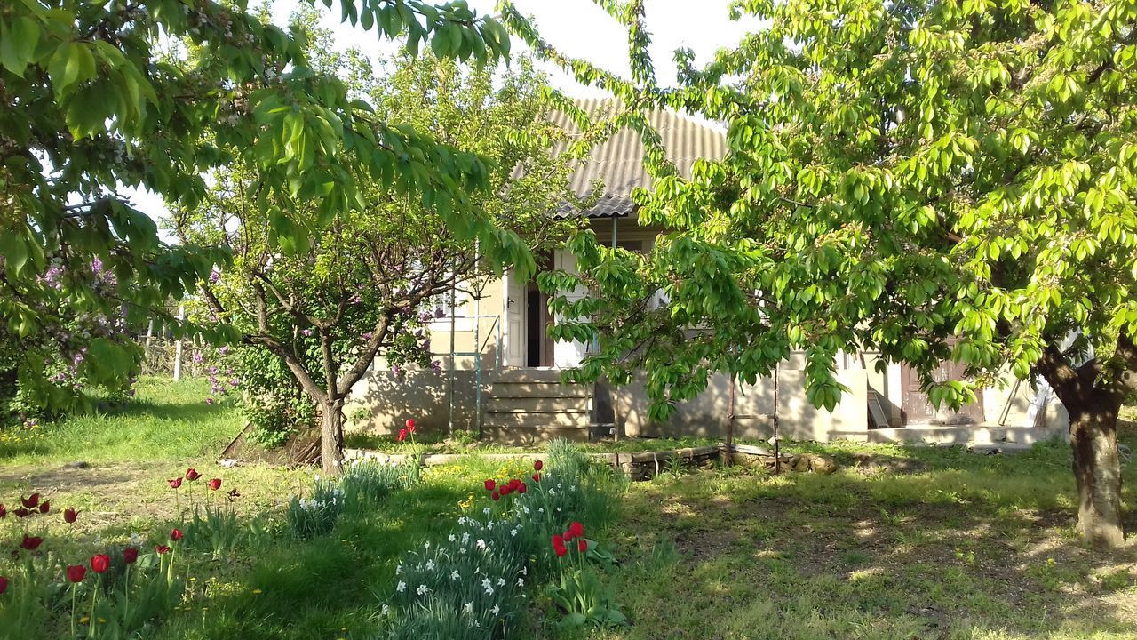 дом-дача - недорого