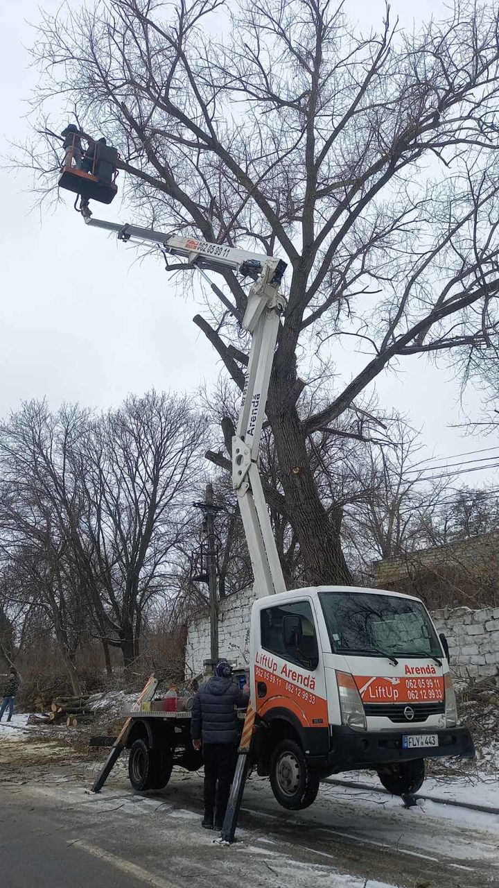 Curățim copaci  de înălțime mare cu mașini Autoturn și toate echipamentele necesare! foto 18