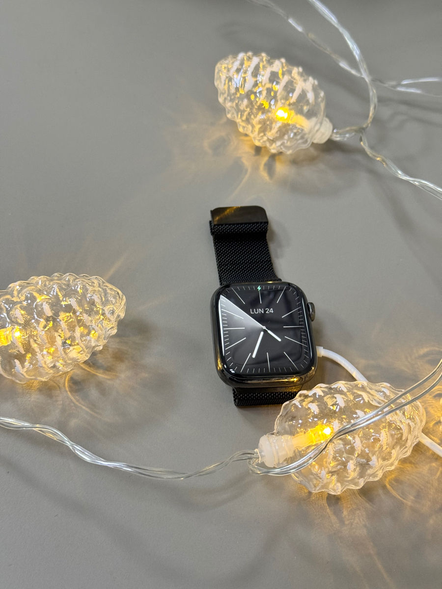 Apple Watch 9 Series 45mm Stainless Steel фото 0