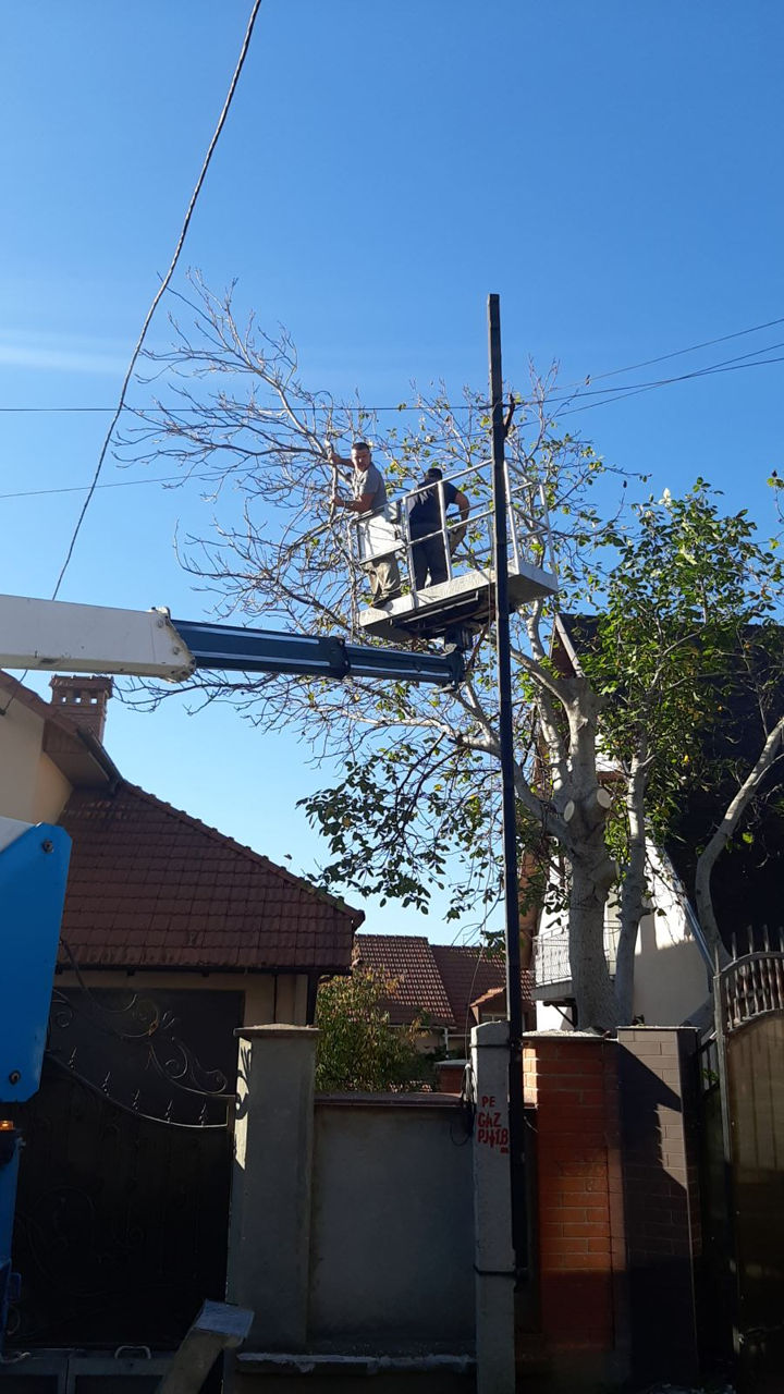 Tăierea copacilor! Toata Moldova foto 4