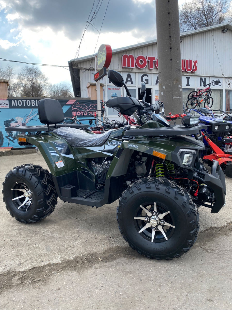Viper 250 foto 4