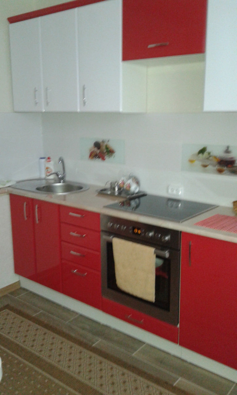 Apartament cu 1 cameră, 40 m², Râșcani, Chișinău foto 2