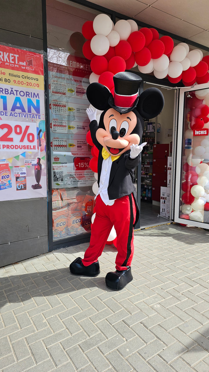 Mickey și Minnie Mouse / Микки и Минни маус аниматоры / animatori mascote Moldova foto 6