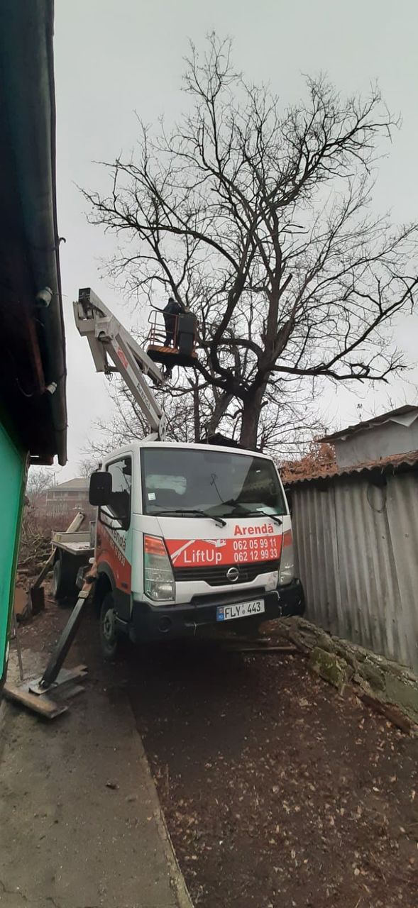 Taierea copacilor, curatarea copacilor, Masina Autoturn, Lucram in toata Moldova !!! foto 1