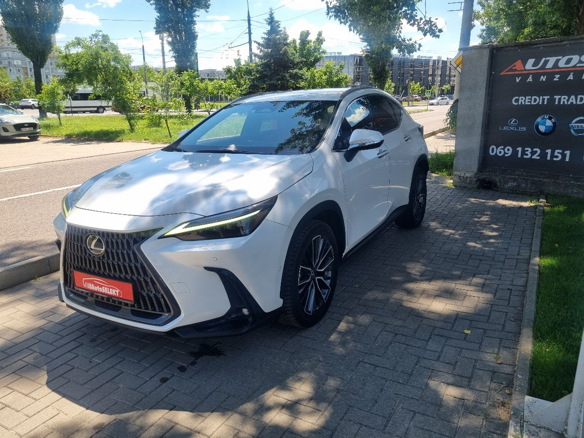 Lexus NX Series 2022