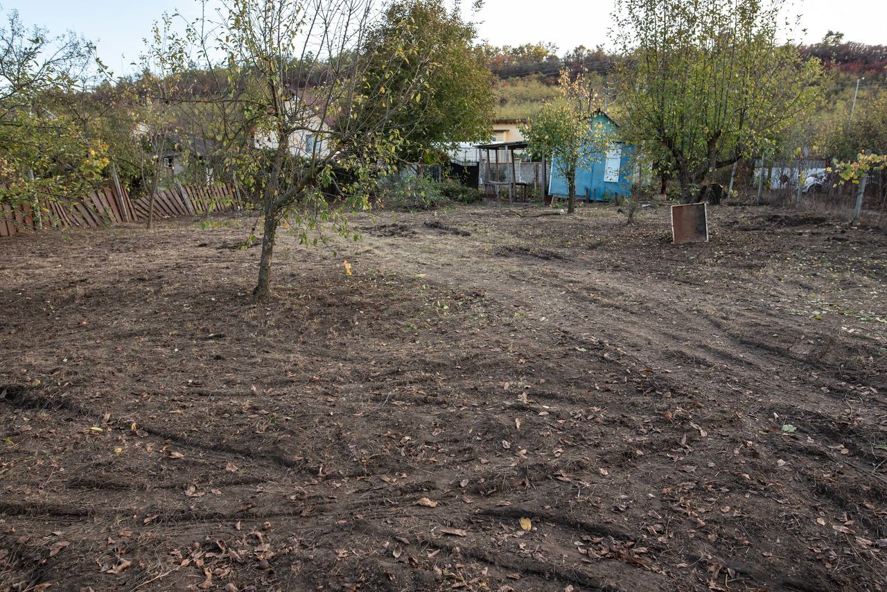 Огороды.Деревья. Вырубка. Резка. Выкорчёвка. Вывоз мусора. Taiem copaci. Curatenie in gradina. foto 0