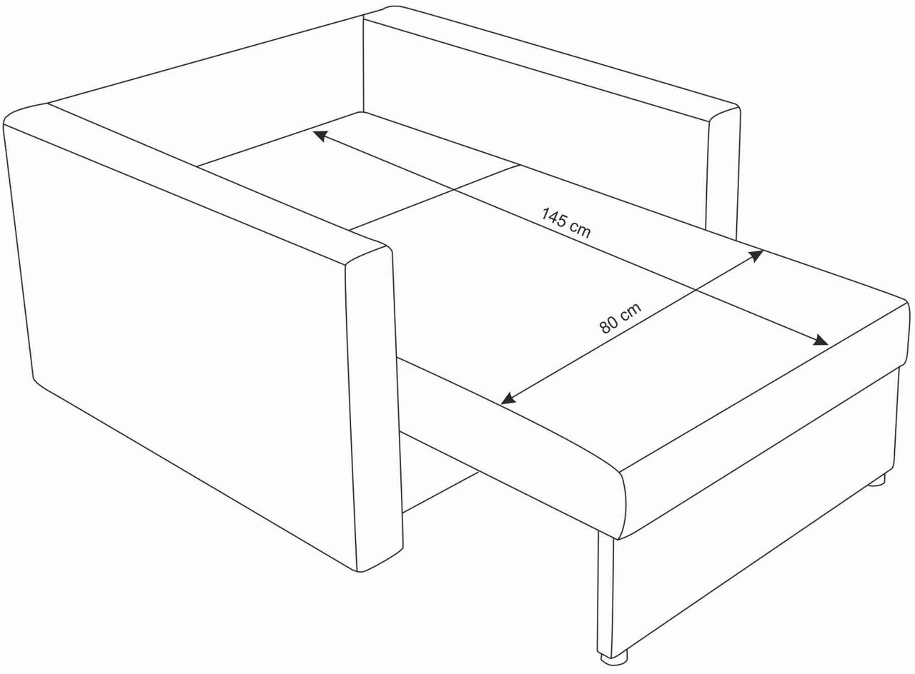 Fotoliu spațios cu sistem de dipozitare foto 5