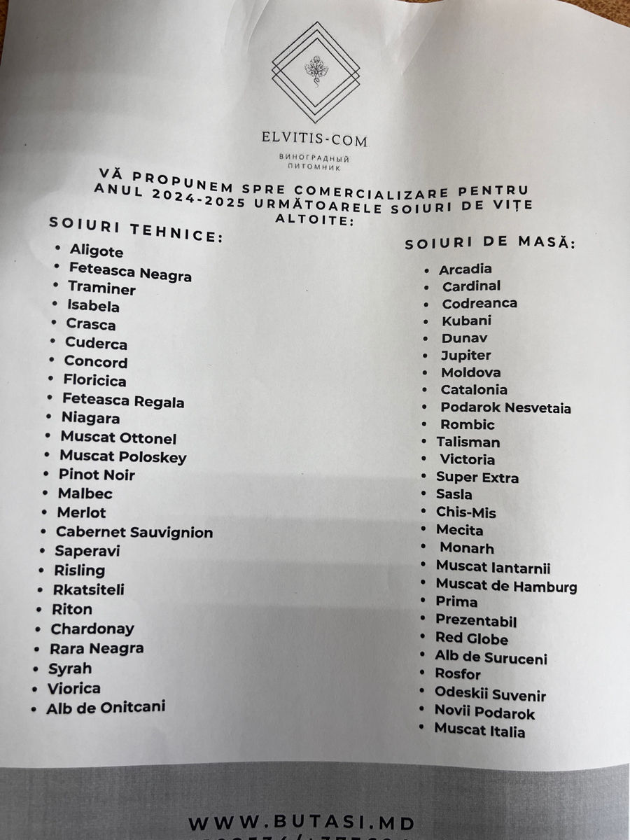 Butasi vita de vie foto 6