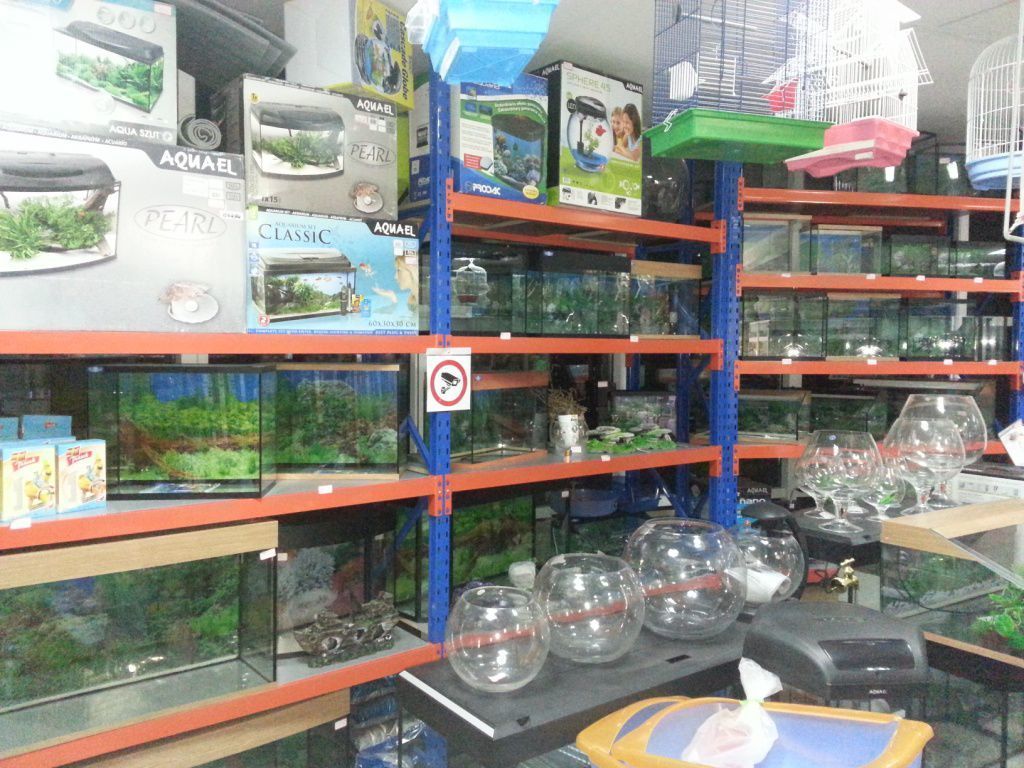 Magazine ZOOTERRA - o gamă largă de produse pentru animalele de companie ! foto 4
