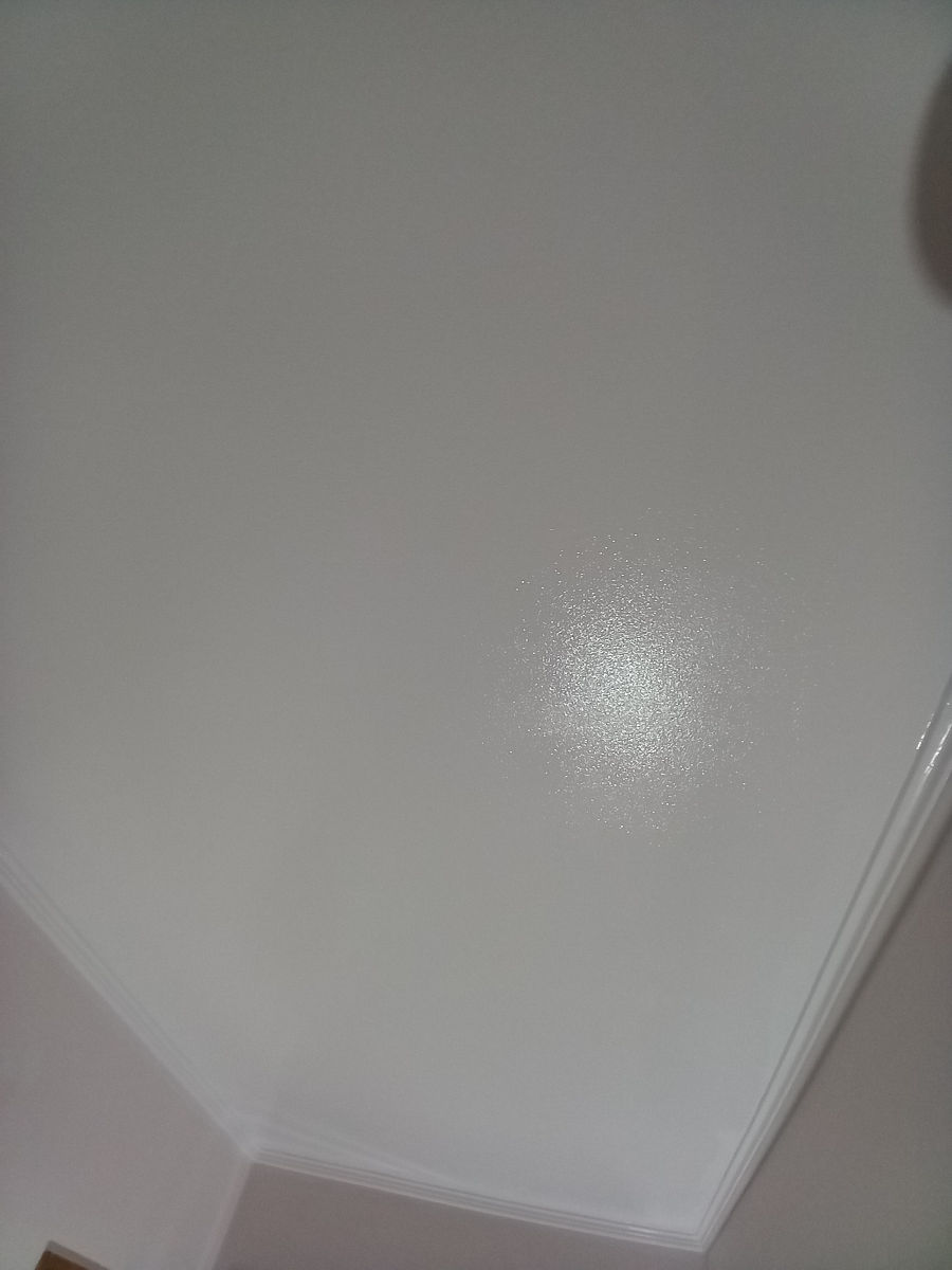 Reinoirea apartamentului, vopsirea apartamentului foto 4