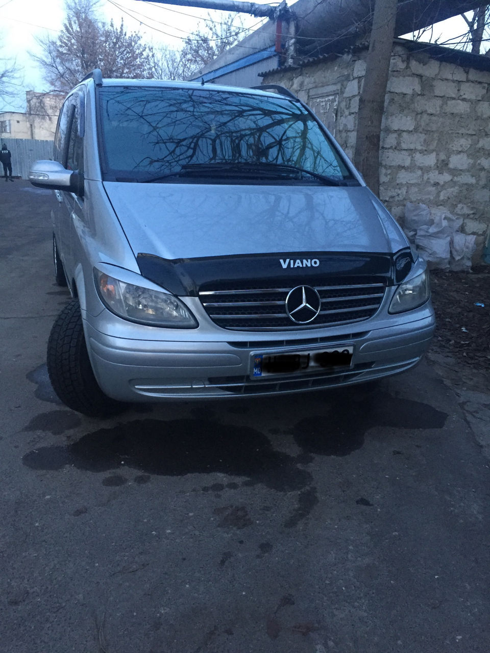 Mercedes Viano foto 1