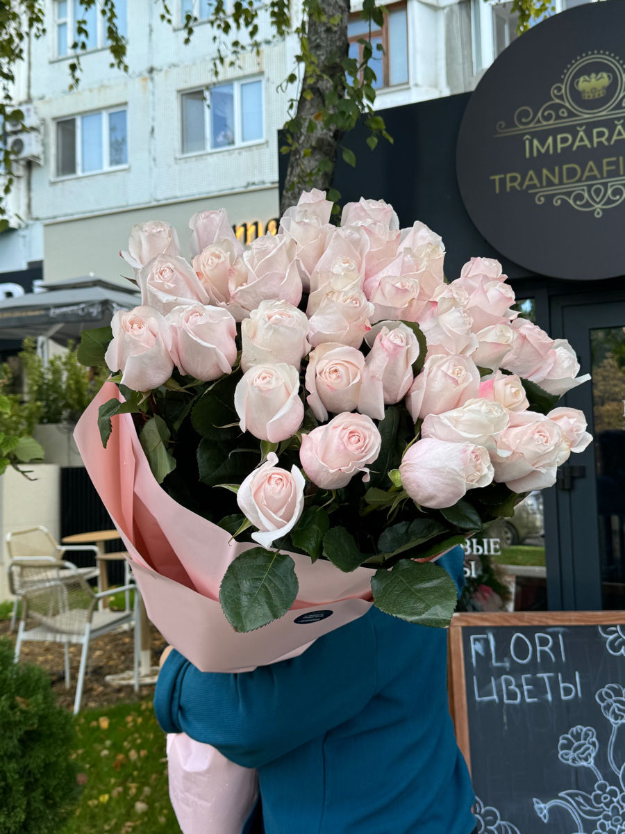 51 / 101 / 201 trandafiri premium - proud, pomarosa, explover, country blues foto 0