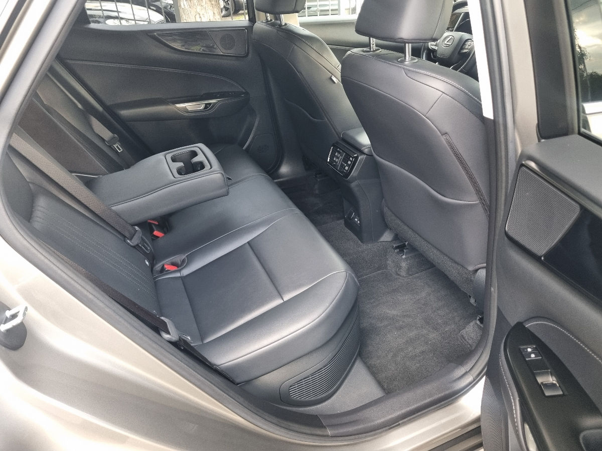Lexus NX Series 2022 photo 18
