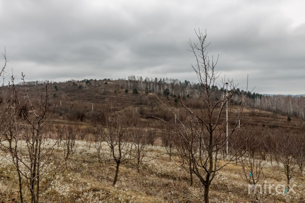 Se vinde Teren pentru construcții în s. Peresecina, zona de vile "La Chiperi", lângă padure! foto 2