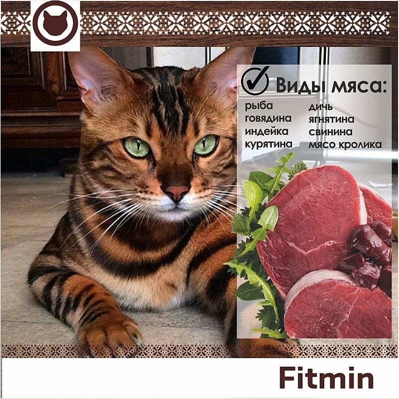 Корм для кошек Fitmin! с доставкой! foto 1