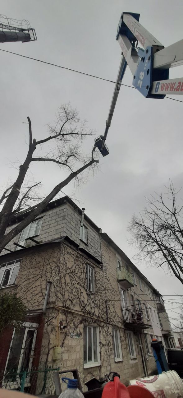 Curățim copaci  de înălțime mare cu mașini Autoturn și toate echipamentele necesare! foto 19