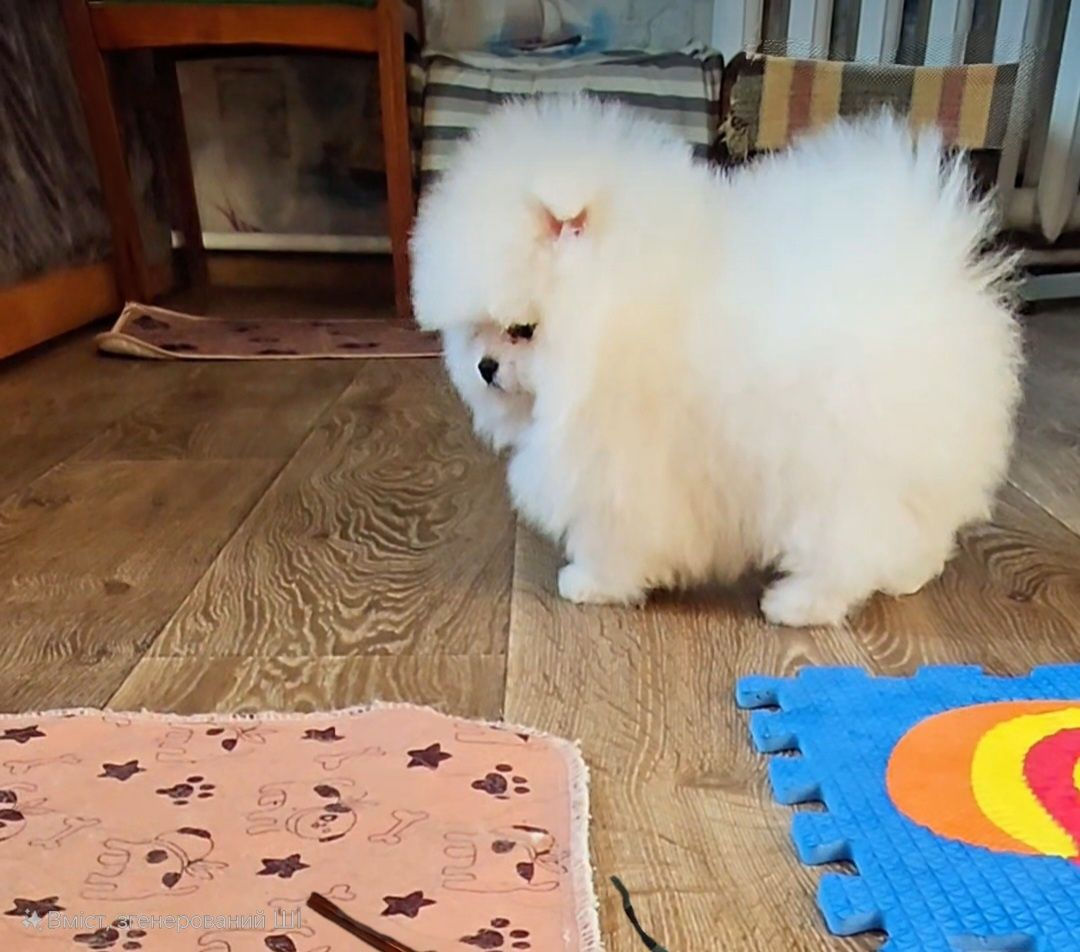 Микро Super мини Mini toy (spitz pomeranian) тип мишка фото 3