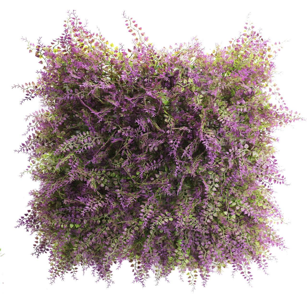 Perete Decorativ Greenery Ferm Purple 50cm X 50cm (17672r) foto 0