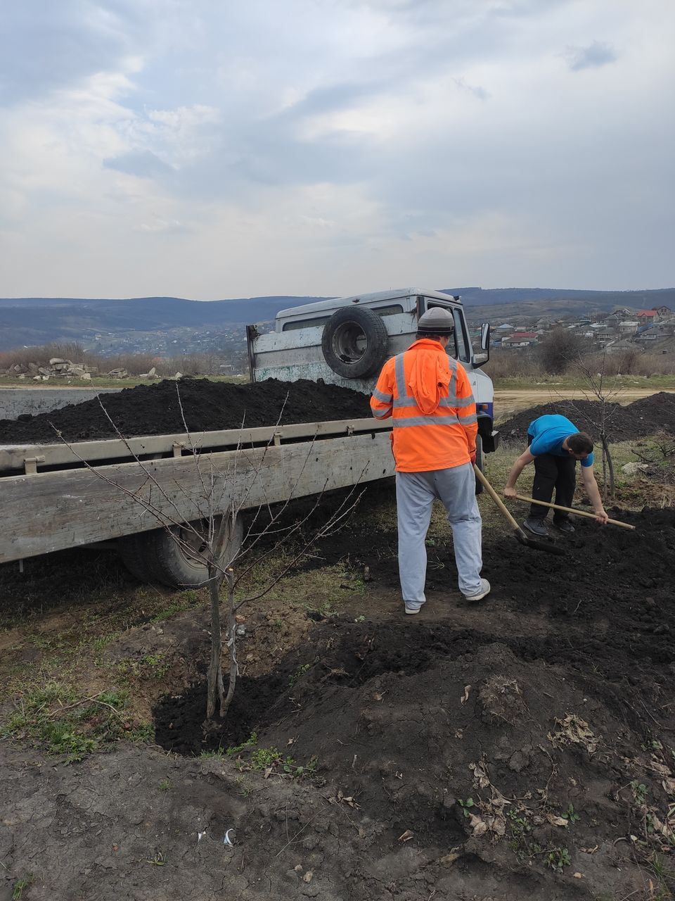 Грузчики Transport de marfuri hamali фото 8
