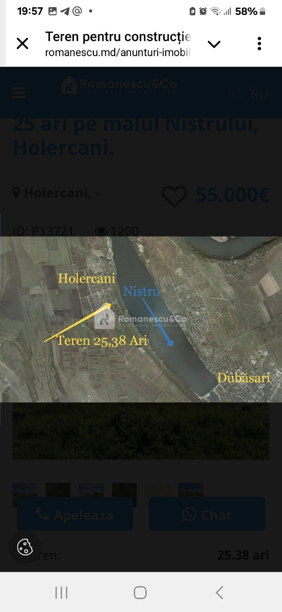 Данчены Лесная поляна foto 2