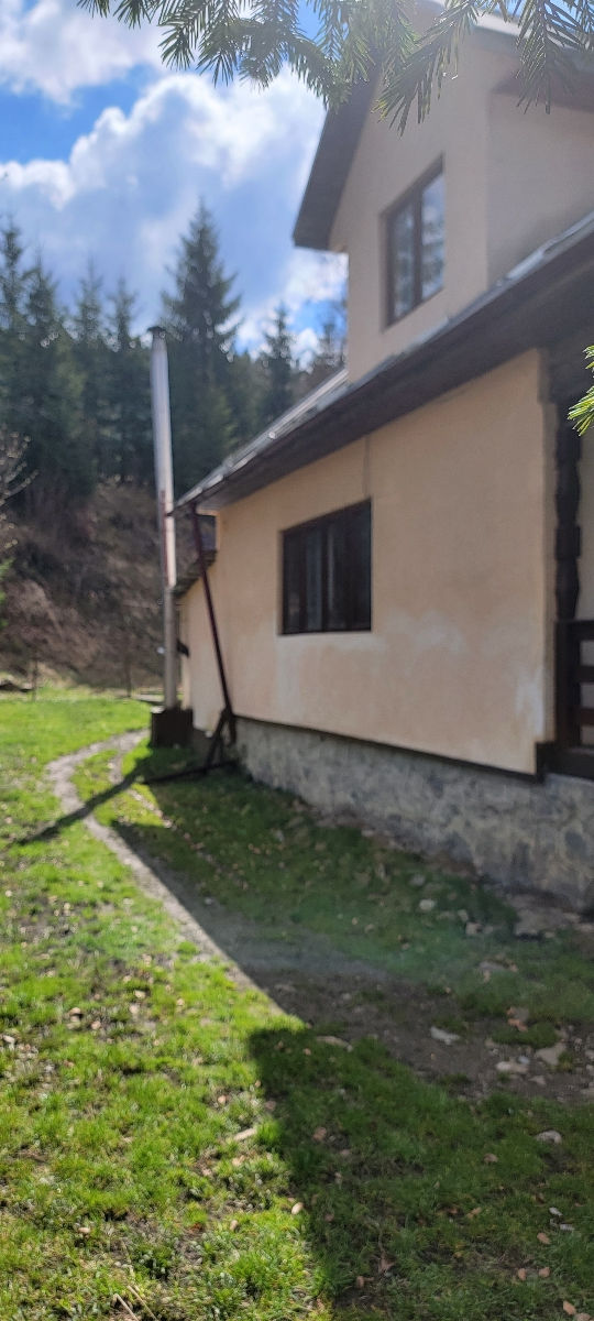Vila La Ceahlau  Stațiunea Durau foto 2