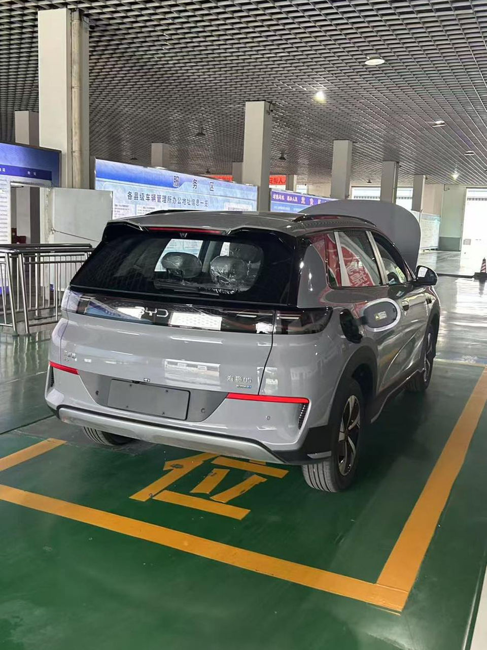 Byd Sea Lion 05 foto 5