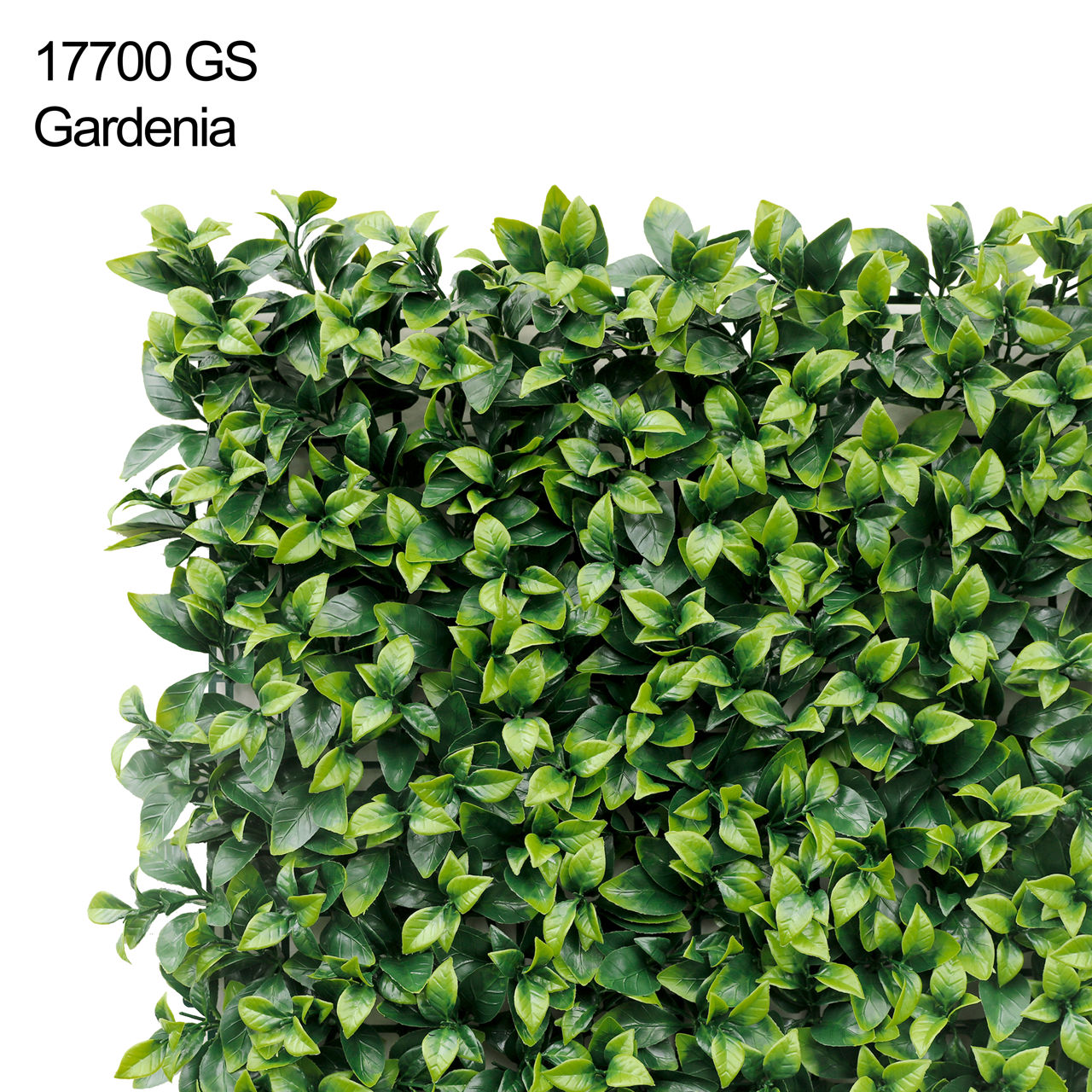 Perete decorativ 17700 Gardenia 50cm x 50 cm foto 1