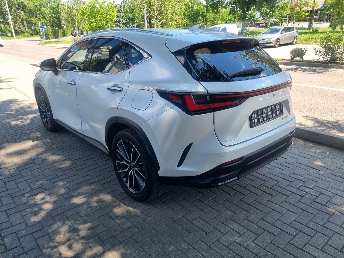Lexus NX Series 2022 photo 7