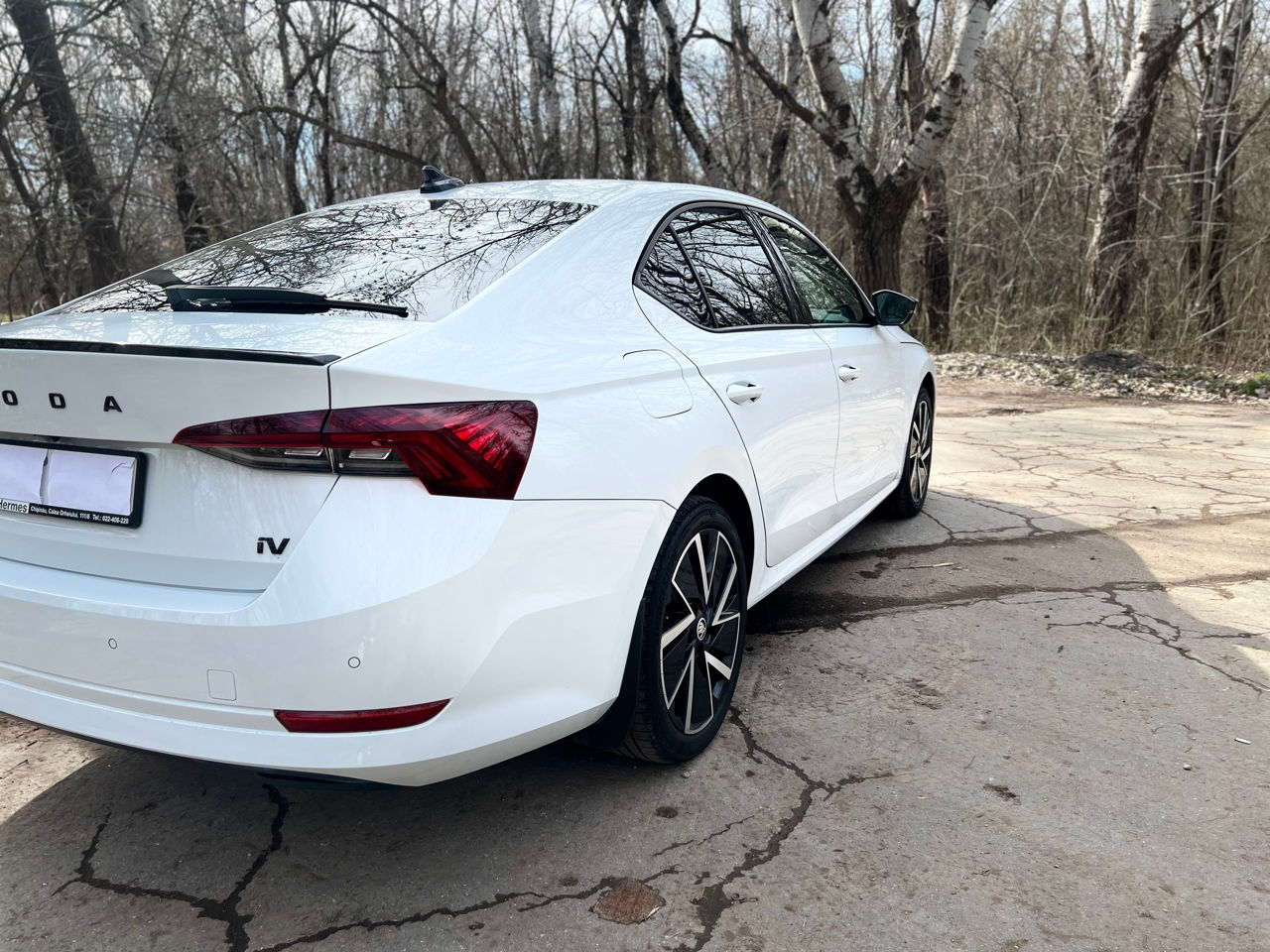 Skoda Octavia фото 5
