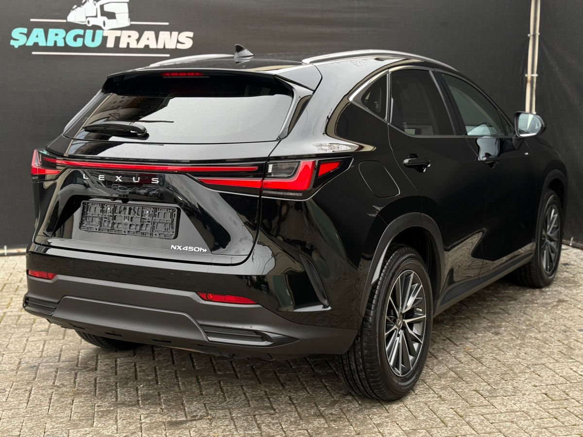 Lexus NX Series foto 3