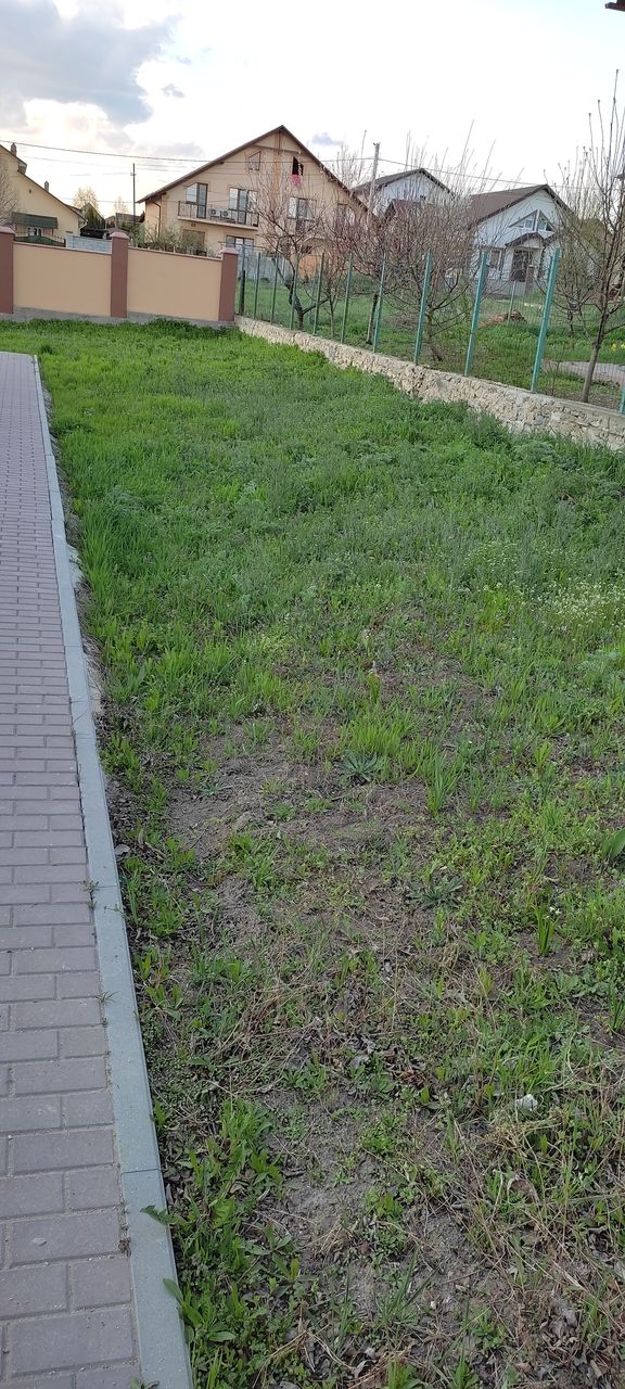 Soluție pentru buruian teracotă. (s.special pentru livezi , viță de vie,perimetru casă) foto 9