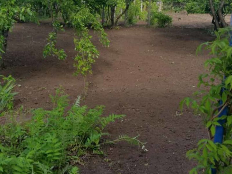 Уборка дачных участков foto 2