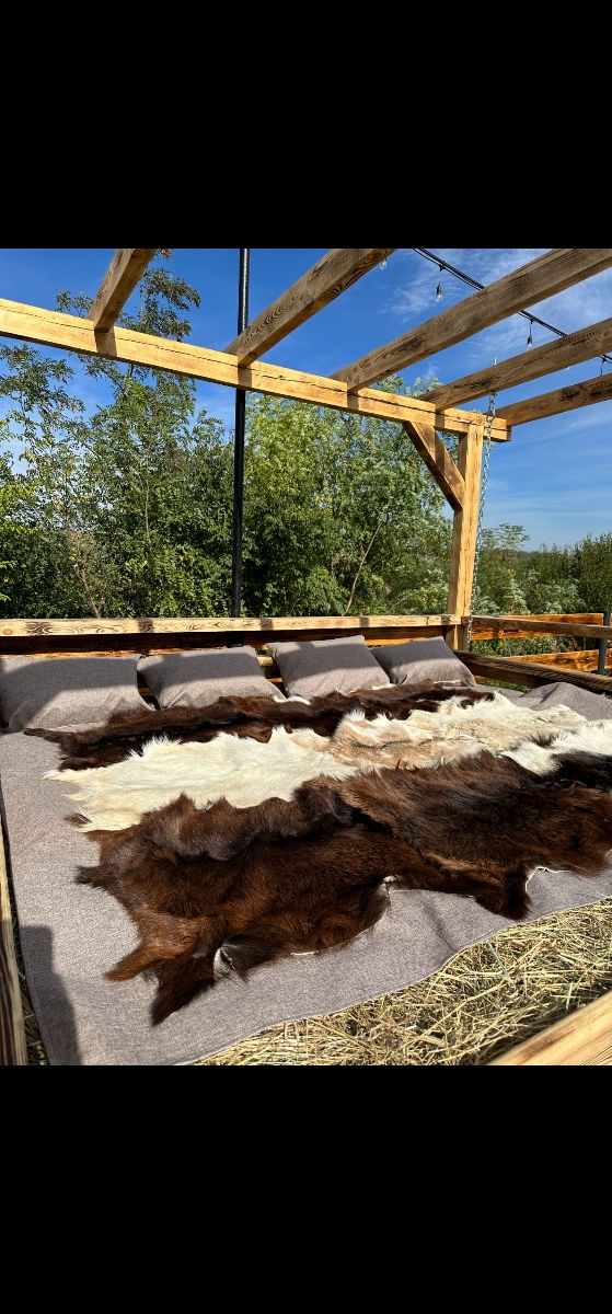 Inchiriere Vila cu piscina sauna si ciubar fierbinte In Balti foto 7