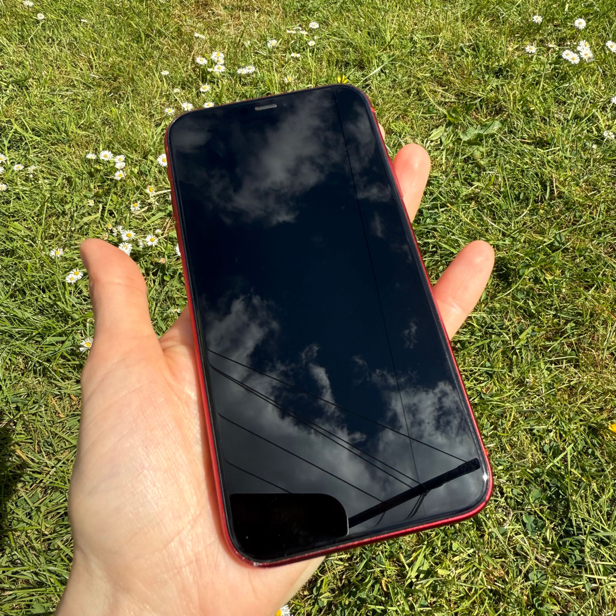 Apple iPhone 11 Red foto 1