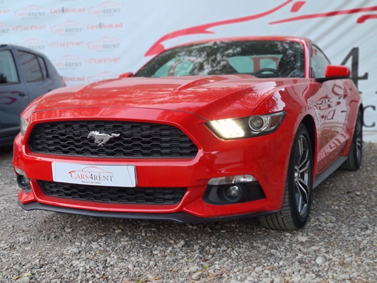 Chirie Auto de la 300 lei / Прокат Авто от 300 лей фото 10